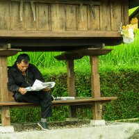 Балиец читает новости :: Катрин Кот