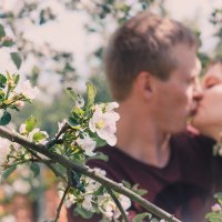 Весенний поцелуй :: Татьяна 