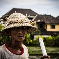 Балиец готовит рисовое поле к посадке :: Катрин Кот