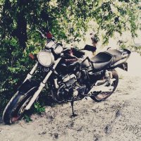 Мотоцикл :: Виктория 