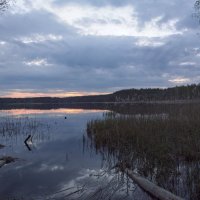 озеро Беленькое :: Юлия Федорова