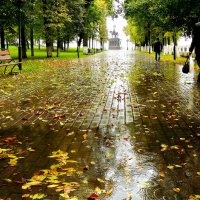 Осенний дождь. :: Анатолий Борисов