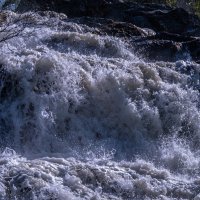 Большая вода :: Валерия Ширковцова