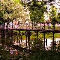 На мосту :: Николай Невзоров