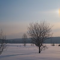 Гало :: Вячеслав Лымарь