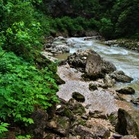 Дно Гуамского ущелья :: Ольга Ламзина