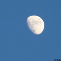 Луна. :: Руслан Грицунь
