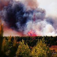 Лесной пожар :: Дмитрий 