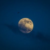 Почти полная Луна :: Veronika Mischenko