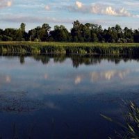 Вечерний пейзаж"У озера". :: Александр Крылов