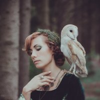 Owl :: Марта Май