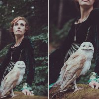 Owl :: Марта Май