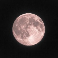 Луна :: Евгения Сихова