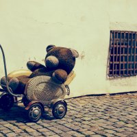Медведь в коляске :: Сергей Филимончук