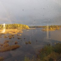 После дождя. :: Татьяна Петрова