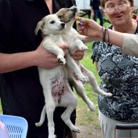 «Сохраним природу и животных вместе» 15.06.2014 :: Yuliya Kalinovskaya