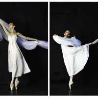 Мой любимый балет! :: Vladimir Gershfus