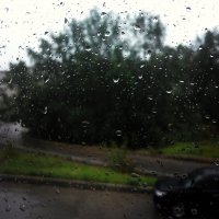 Капли дождя :: Наталья Отраковская