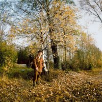 Осенние прогулки :: Валерий Талашов