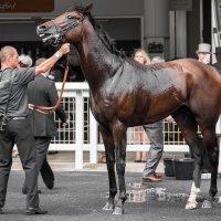 Royal Ascot 2014_2 :: Ekaterina Stafford