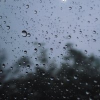 Дождик :: Дарья Блоха