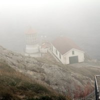 Point Reyes :: Размик Марабян