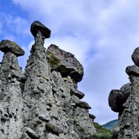 Каменные грибы. :: Эдуард Закружный