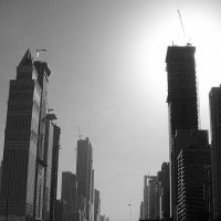 Дубай :: Надежда Середа