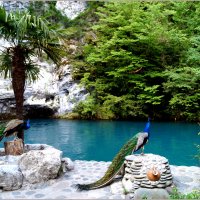 Абхазия...Голубое озеро... :: Наталья Агеева