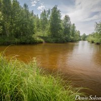 р. Барнаулка :: Денис Соломахин