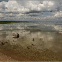 Озеро Нарочь. :: Владимир Иванов