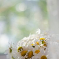 Summer Flower :: Ольга Ионова