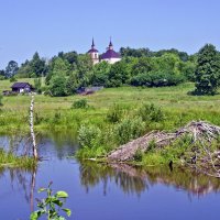 Здесь живут бобры :: Владимир Дементьев