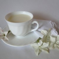 Чашка молока :: Елена Шемякина