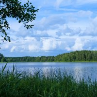Озеро Березайка :: Денис Пшеничный