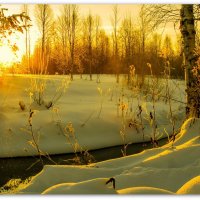 Луч солнца золотой... :: Федор Кованский