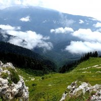 Кавказ, Абхазия, горы. :: Наталья 
