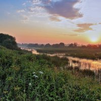 Под натиском розового света :: Юрий Морозов