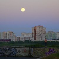Ночные прогулки под полной луной :: Елена Перевозникова