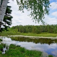 Летний пруд :: Галина Подлопушная