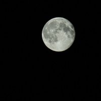 Луна :: Азат Мустафин