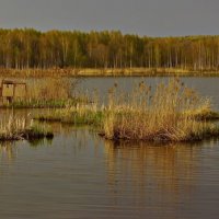 Вечер в Афонино :: Евгений Жиляев