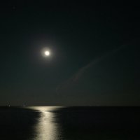 Ночь, облачко и лунная дорожка... :: Альфия Еникеева