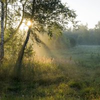 Пейзаж :: Владимир 