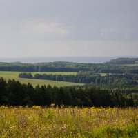 Перед дождичком... :: Наталья ***