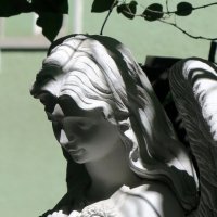 Ангел со Смоленского кладбища :: anna borisova 