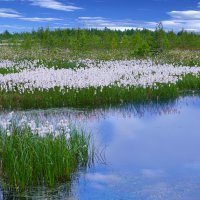 * :: Александр Пахилов