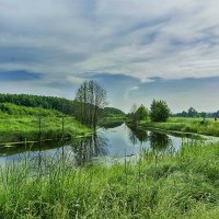 Красота так близко... :: Сергей Лелюк