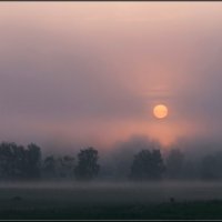 Солнце в тумане :: Надежда Лаврова