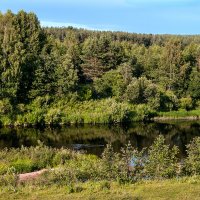 Вечереет :: Александр Силинский